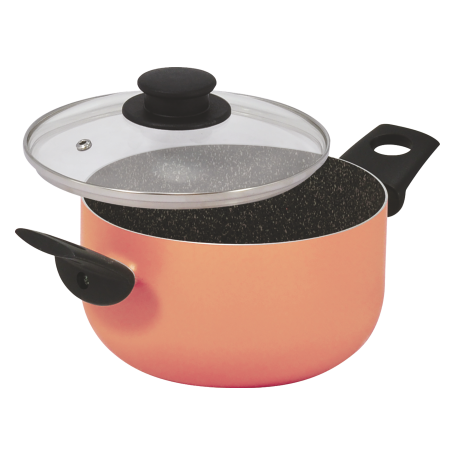 CASSERUOLA CON COPERCHIO 22CM